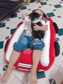 GHẾ BÔNG NGỒI Ô TÔ