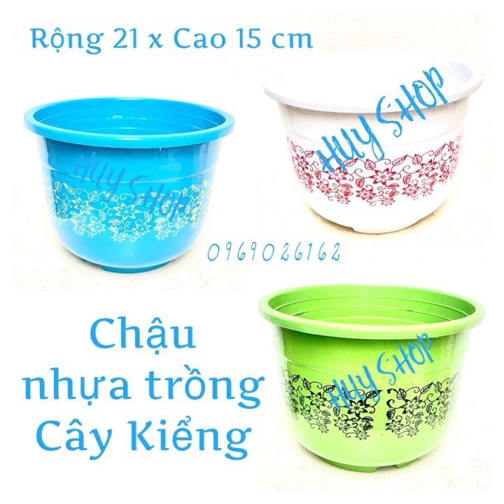 Chậu nhựa Trồng Hoa IN Hoa Văn (21x15 cm) trang trí nhà cửa