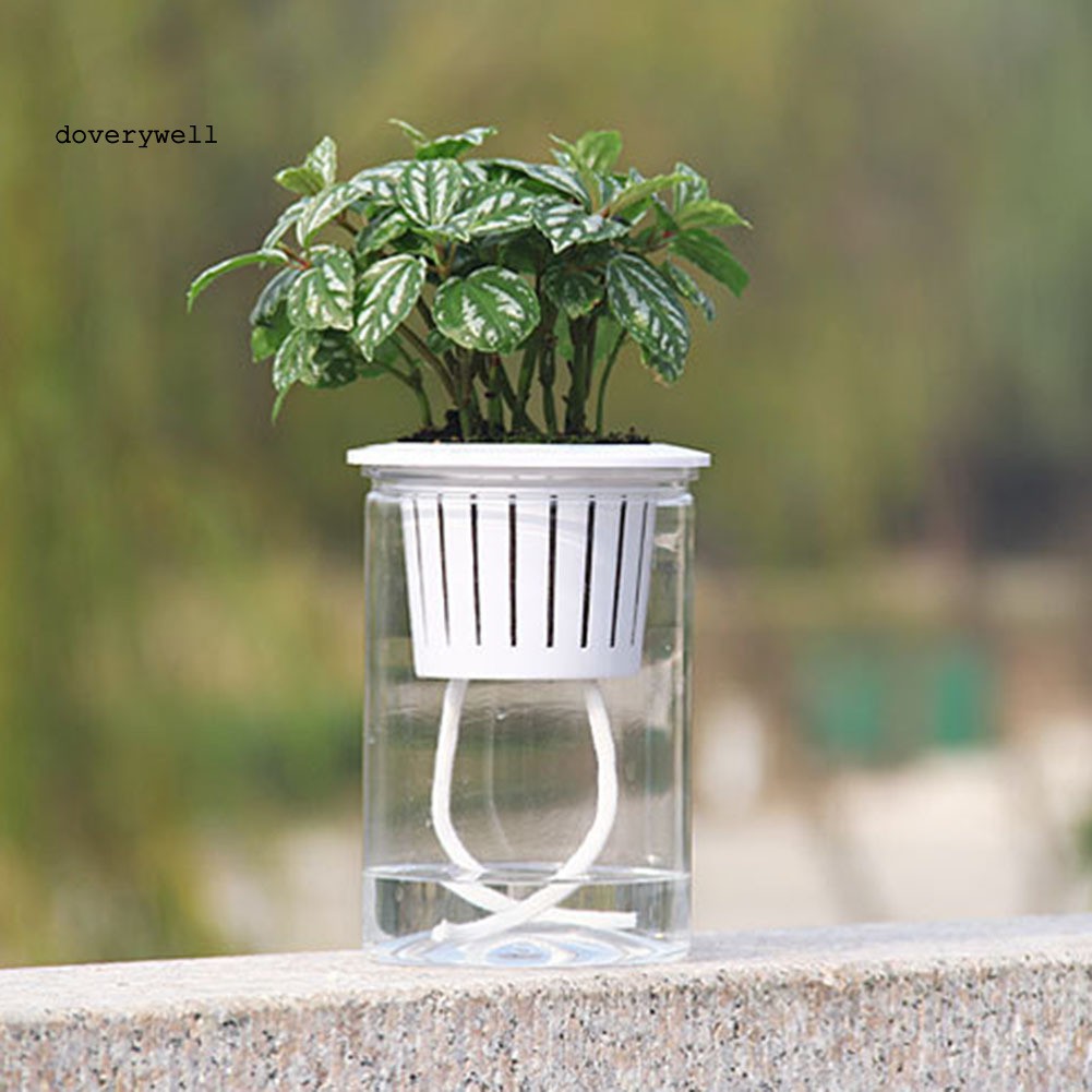 Dụng Cụ Tưới Nước Tự Động Trong Suốt