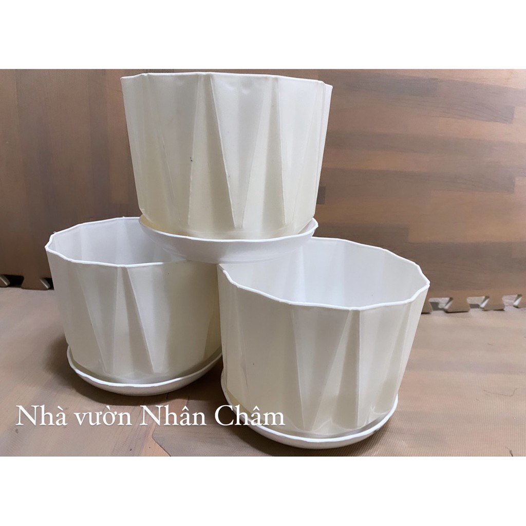 Chậu trồng cây để bàn khía đĩa 170 tròn trắng