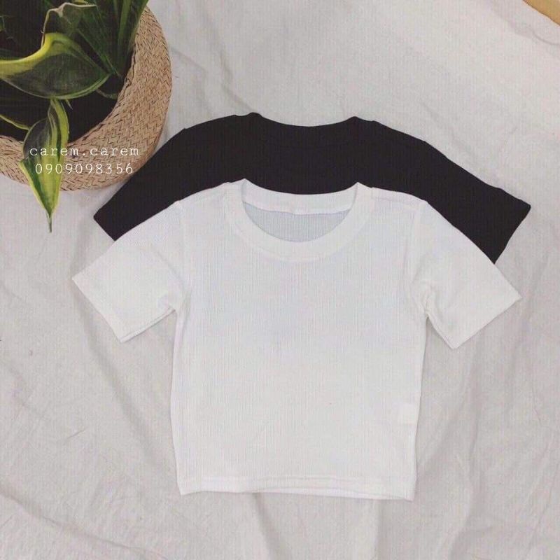 Áo crop ngắn tay (có cận vải)