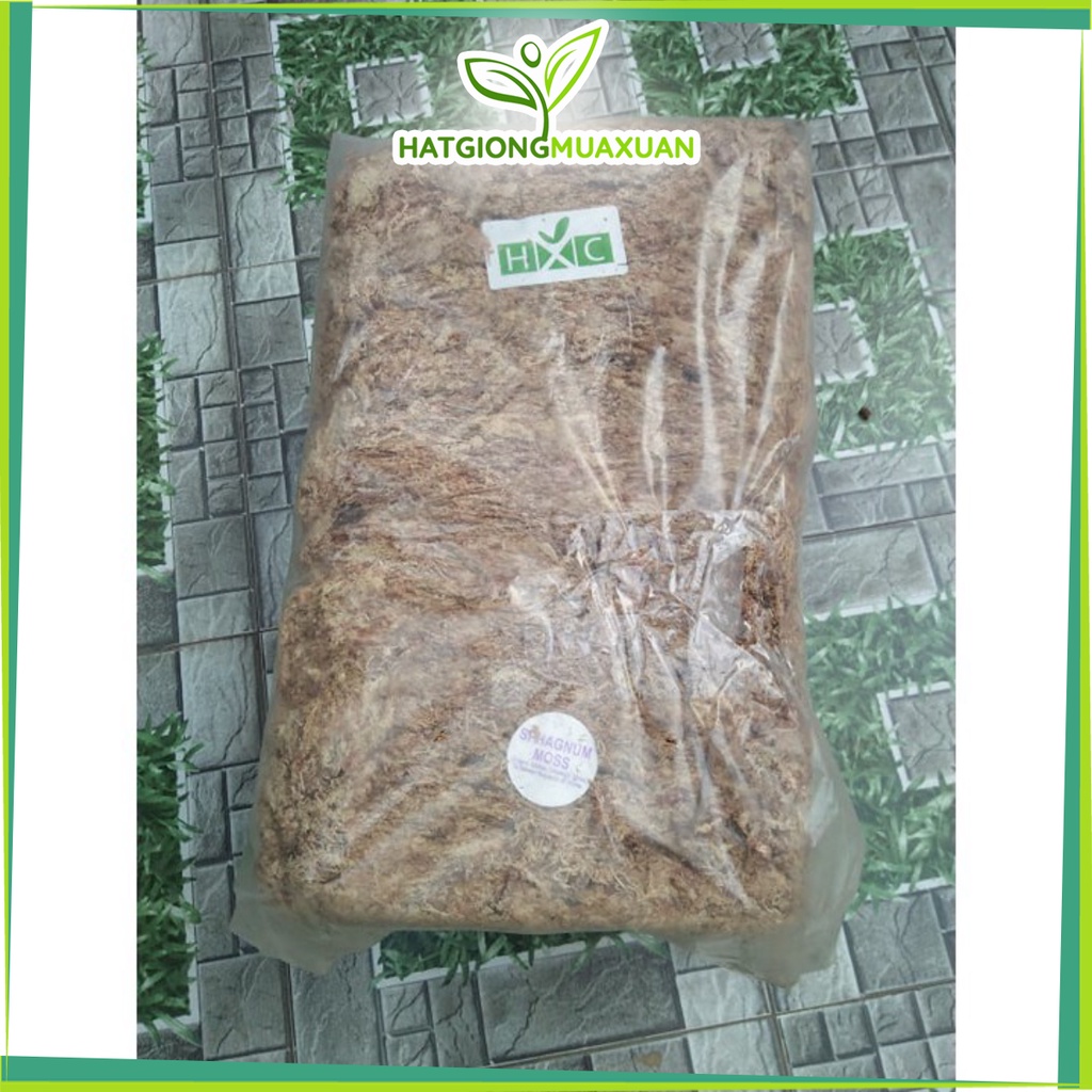 [SIEURE] Rêu CHILE giữ ẩm HOA LAN GÓI 100G hàng đẹp, phân phối chuyên nghiệp.