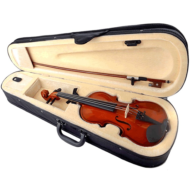 ĐÀN VIOLIN CAO CẤP DEVISER V-30 GỖ NGUYÊN TẤM 4/4 ( FULL BOX )