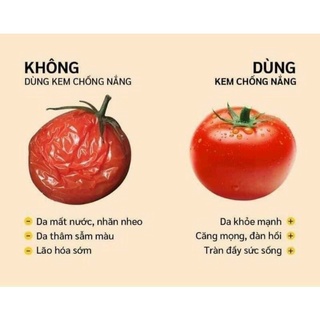 Kem tím ban ngày chamomileskill