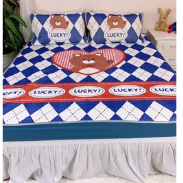 Chiếu bo chun cao su non 5D loại 1 thoáng mát ,dày dặn (tặng kèm 2 vỏ gối)