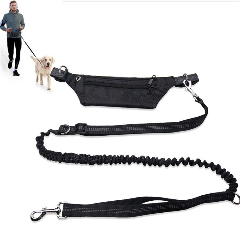 Dây Dắt Thú Cưng Đi Dạo Phản Quang Tùy Chỉnh An Toàn Tiện Dụng