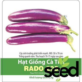 Hạt giống cà tím rạng đông 2.5gram