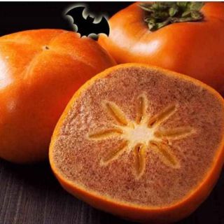 Cây giống hồng đen nhật bản