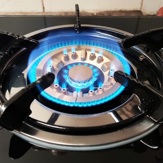 [TPHCM] Bếp Ga Đơn Cao cấp SANKAtech SKT-102B