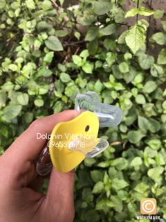 Ty ngậm Dolphin