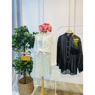 [V08] Set Đầm cúp ngực - Áo voan