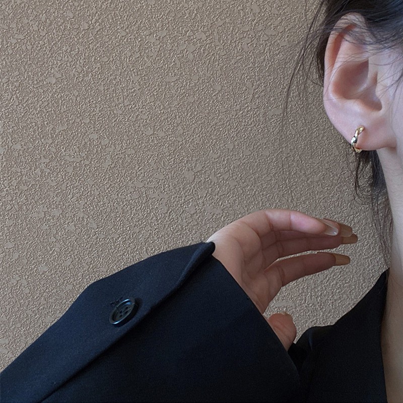 Bông tai thời trang Hàn Quốc phong cách mới năm 2021 F313