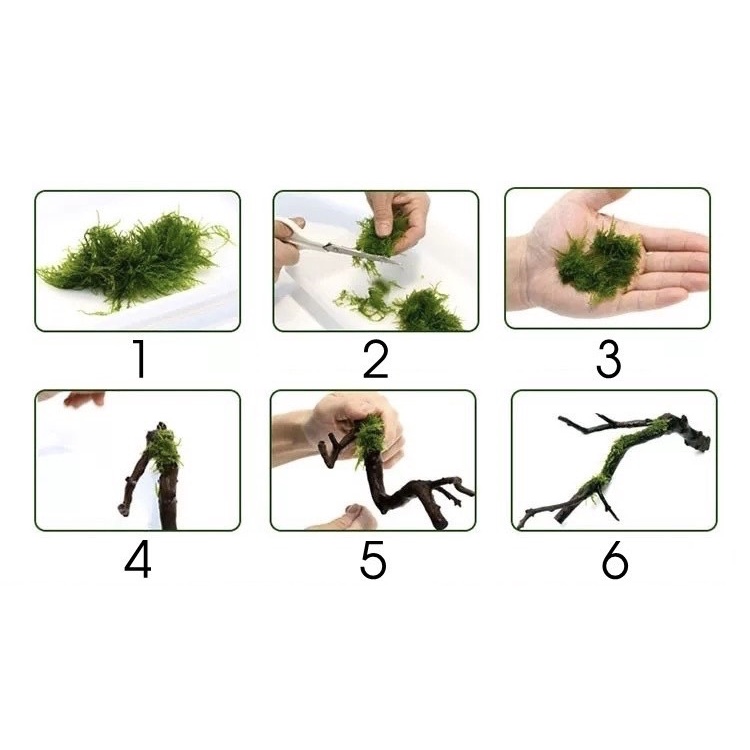 Cước Tàng Hình Buộc Rêu, Ráy và Cây Thuỷ Sinh (dày 0,2mm x100m)