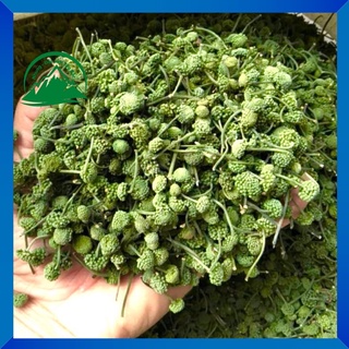 Nụ hoa tam thất Tây Bắc gói 100gr, nụ bao tử chuẩn loại 1