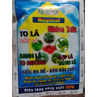Xanh lá - Novar đẹp lá siêu ra rễ