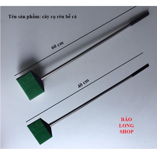 Cây cọ rêu bể cá thủy sinh, cay co reu be ca thuy sinh