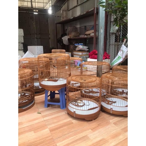 Lồng Choè Than From Lùn Kèm Pk Ảnh Thật