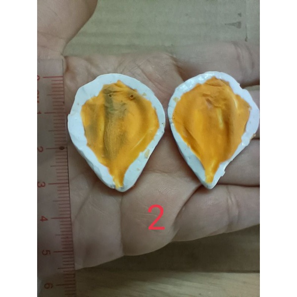 Gân cánh mai silicon,lấy từ hoa thật