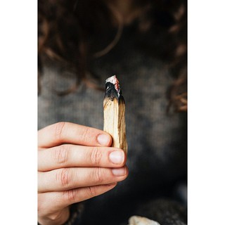 GỖ THÁNH - GỖ TRẮC XANH (Palo Santo)