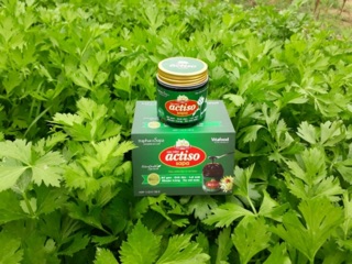 Cao Atiso Traphaco Sapa