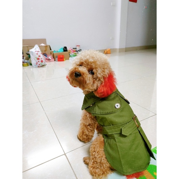 [ Ảnh thật ] Áo khoác ba lỗ doanh nhân cho thú cưng