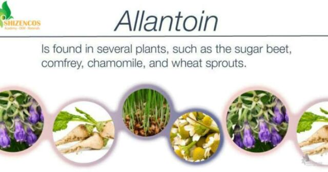 Allatoin tái tạo da 20g