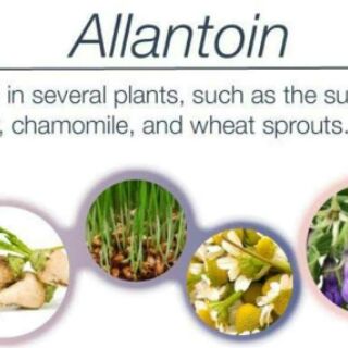 Allatoin tái tạo da 20g
