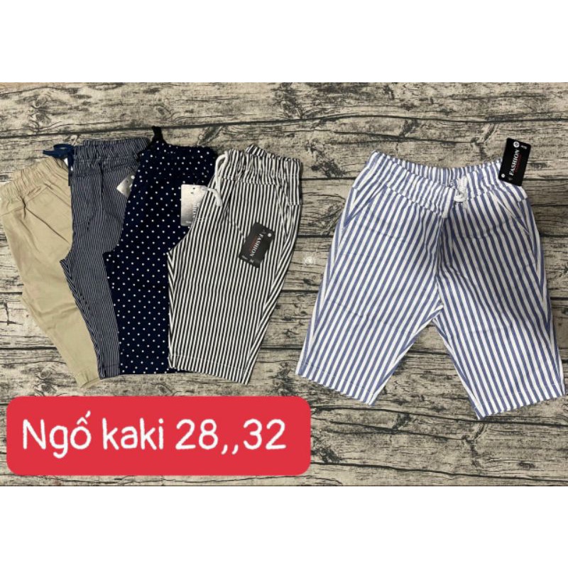 Ngố sọc nữ kaki