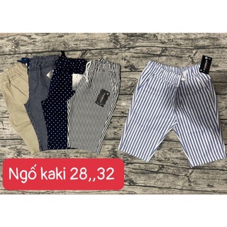 Ngố sọc nữ kaki