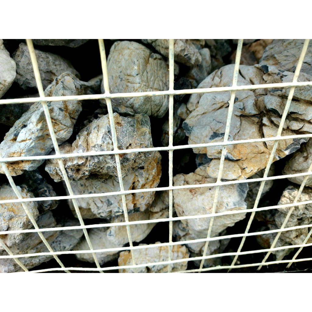 Đá da voi SIÊU VÂN trang trí hồ thuỷ sinh