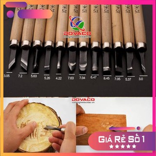 Bộ 12 dao khắc, đục, tiện gỗ đa năng