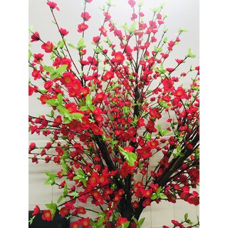 1 cành hoa anh đào Lộc