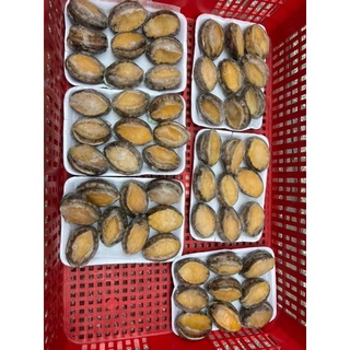[ PHÚ NHUẬN] BÀO NGƯ HÀN QUỐC 1 KG