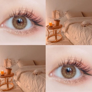 [1 CẶP LENS] KÍNH ÁP TRÒNG CONTACT LENS HÀN QUỐC NÂU VÀNG VENUS BROWN