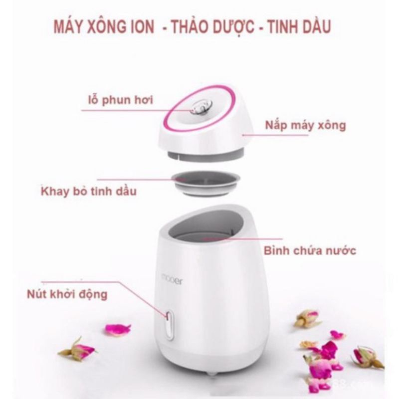 MÁY XÔNG MẶT MAOER - MÁY XÔNG MŨI HỌNG