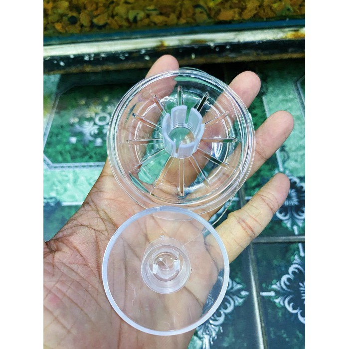 BẪY ỐC SÊN HỒ CÁ BẰNG NHỰA HỒ CÁ ĐƯỜNG KÍNH 6CM