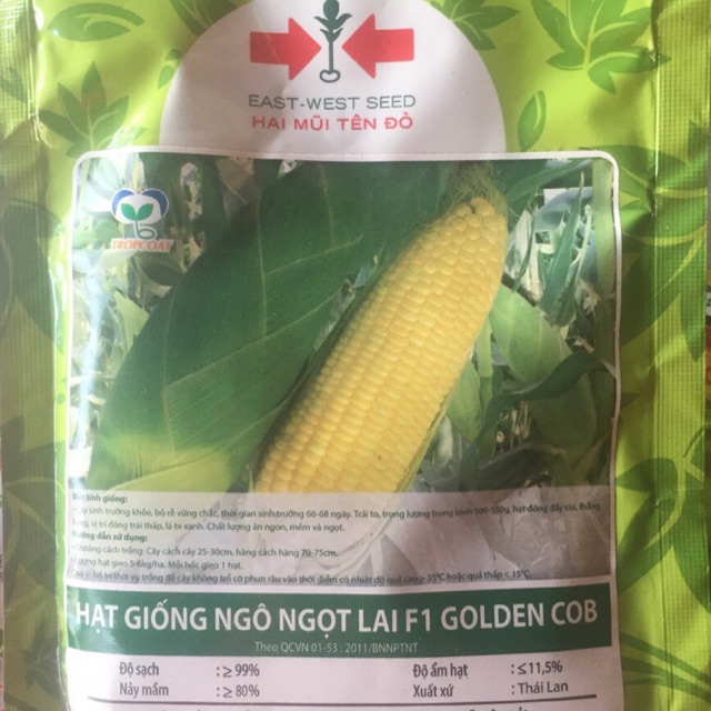 Hạt giống Bắp Ngọt Mỹ 1kg - Công ty Hai Mũi tên đỏ