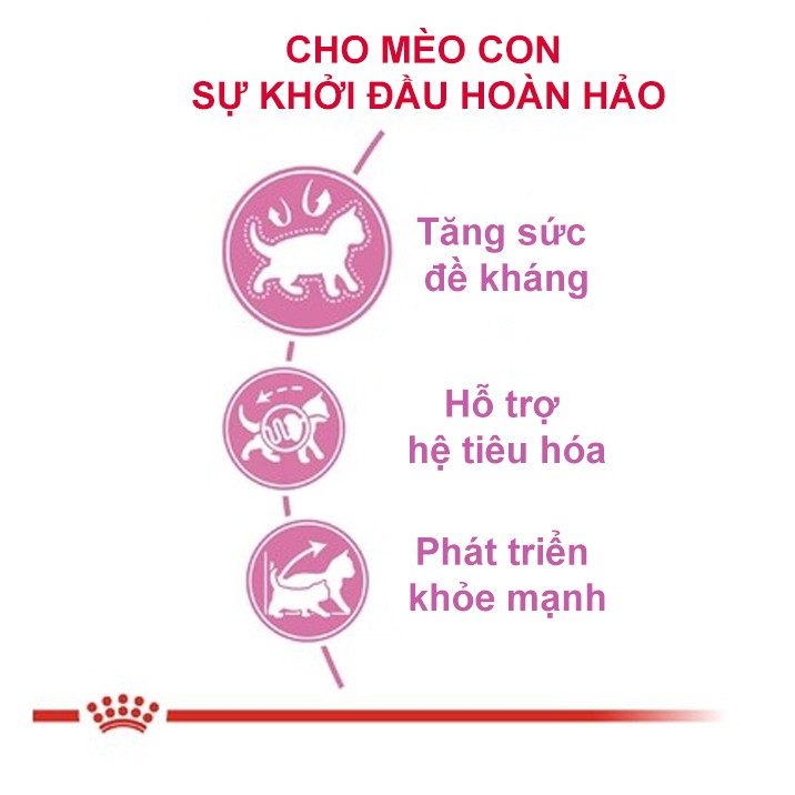 Royal Canin Kitten 36 Thức Ăn Hạt Cho Mèo Con Túi 1kg Giá Rẻ #MintPet