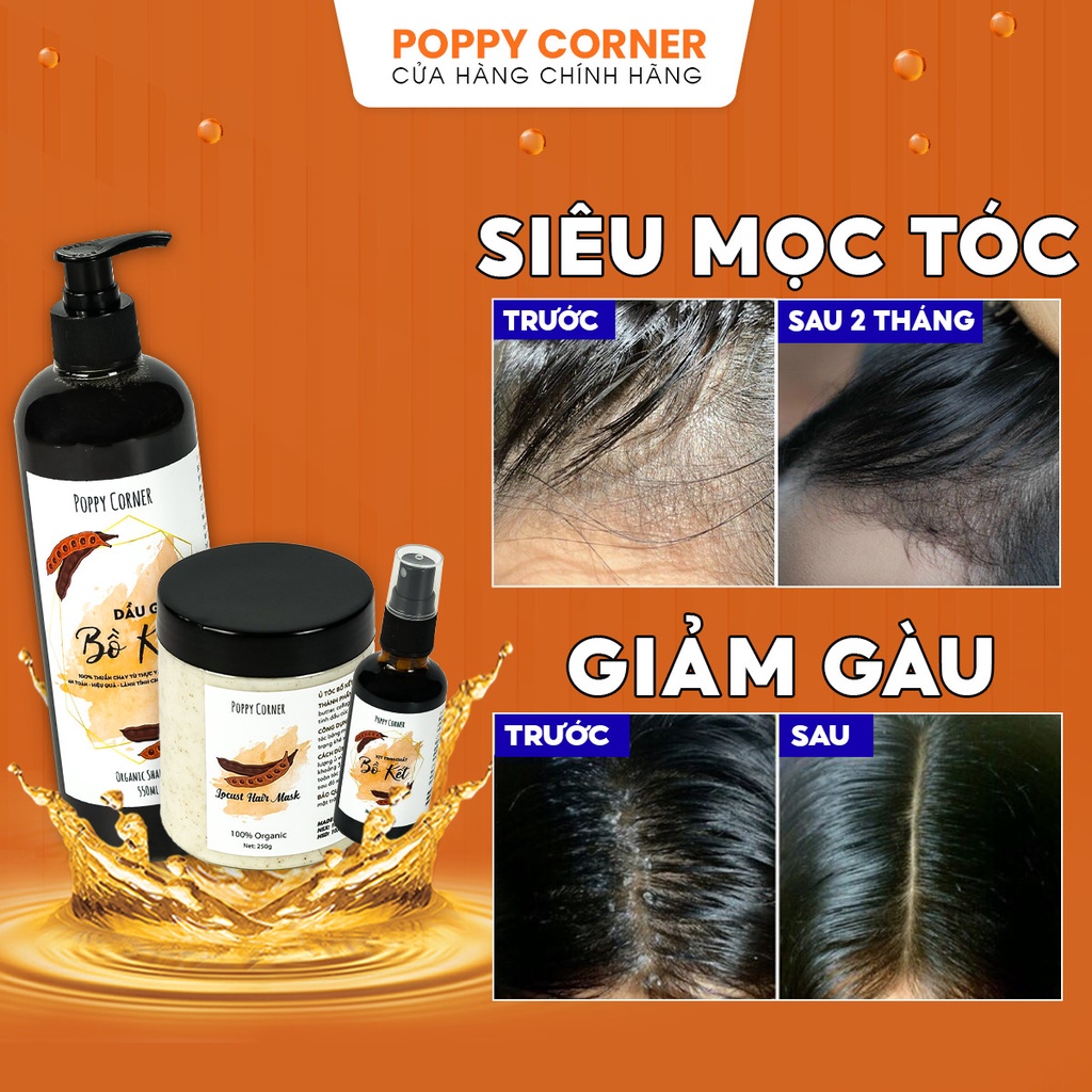 Combo Dầu gội giảm gàu thảo dược thảo mộc bồ kết cô đặc chống rụng thiên nhiên mọc tóc nhanh dài POPPY CORNER