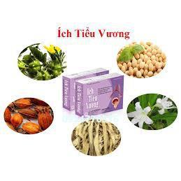 ✅ ÍCH TIỂU VƯƠNG - Giảm Tiểu Ngày, Tiểu Đêm