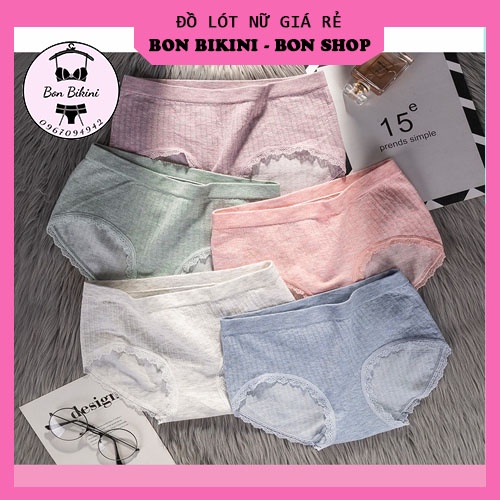 COMBO HỘP 5 quần lót Cotton Mujii Co Giãn 4 chiều Cao cấp kháng khuẩn