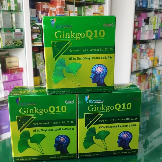 Ginkgo Q10 - Hỗ trợ tăng cường tuần hoàn máu não, phục hồi sau tai biến giảm thiểu năng tuần hoàn não, suy giảm trí nhớ