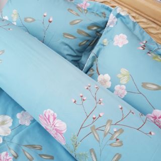 Bộ ga gối cotton hàn quốc