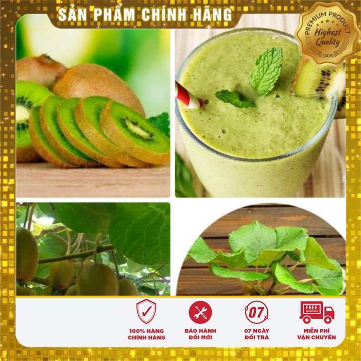 Hạt giống Quả Kiwi VIP và cách gieo trồng hạt giống kiwi ( 30 hạt)