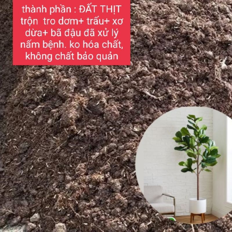 1kg trùn quế + đất thịt hữu cơ đã pha trộn tro dơm, trấu, xơ dừa, bã đậu