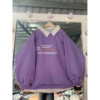 Áo sweater nỉ bông tay siêu bồng HANA69