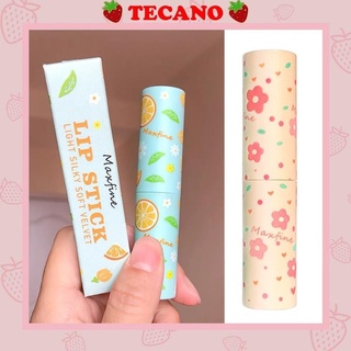 Son thỏi dưỡng ẩm môi Tecano son môi nội địa trung vỏ cực xinh SS11
