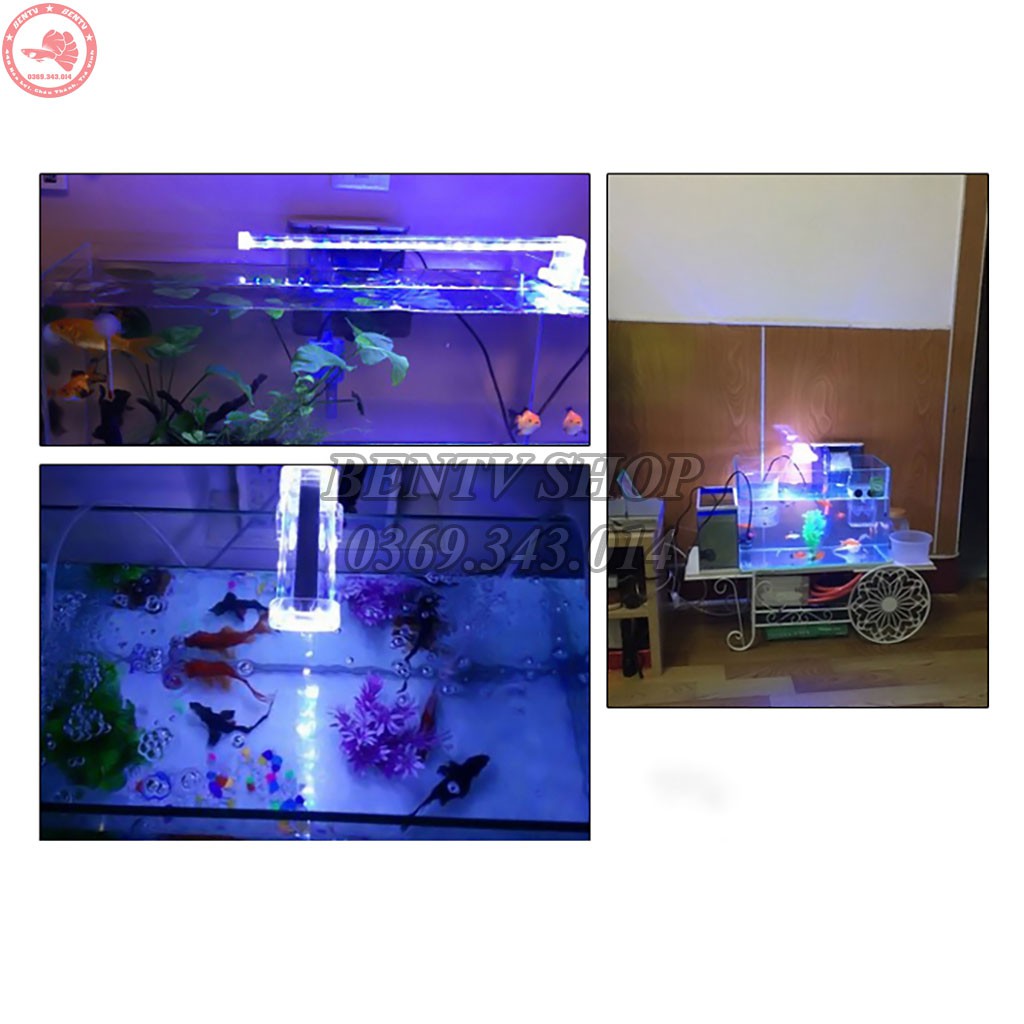 Đèn LED Kẹp Cho Hồ Thủy Sinh Kích Thước 50-60cm LED-D40