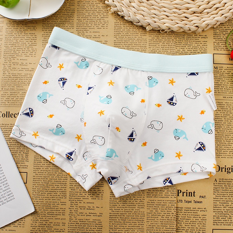 Bộ 4 Quần Lót Boxer 95% cotton In Hình Hoạt Hình Và Gấu Dễ Thương Cho Bé Trai 2-12 Tuổi