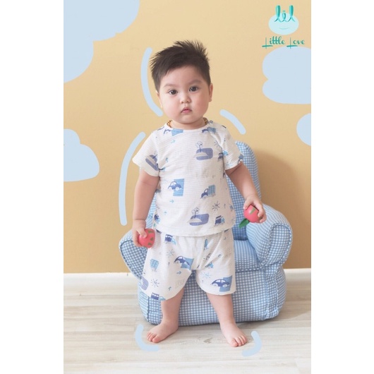 Bộ cộc tay cotton giấy chính hãng
